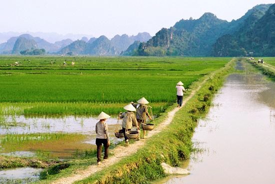 Làm nông có phải là một nghề