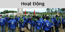 Hoạt động hội